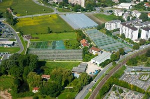 MosquéeAnnemasseGrosPlanDomaineMaraîcher117.11.